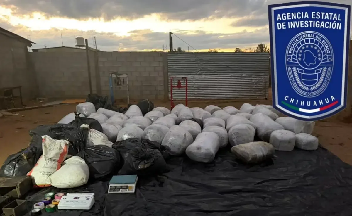El fuerte olor a marihuana llevó a las autoridades a descubrir la droga tras un violento incidente en Santa Rosa.