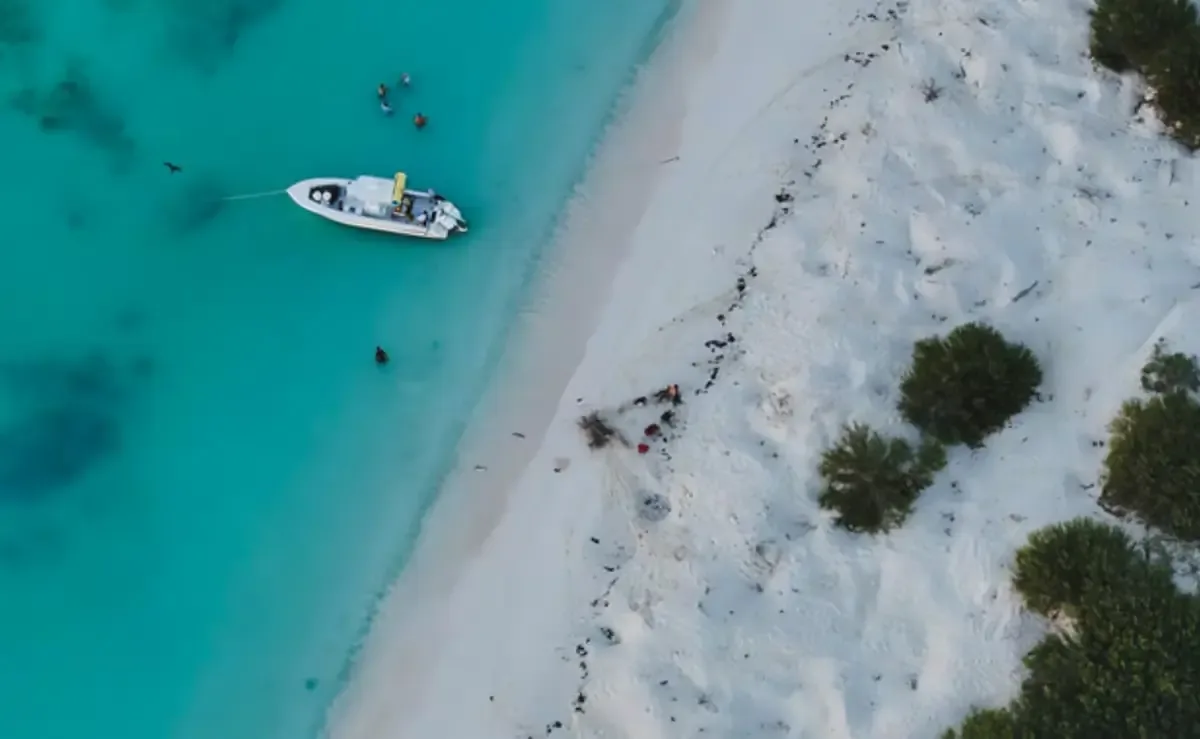 La Profepa asegura embarcaciones en Yucatán para proteger el hábitat de especies en peligro.