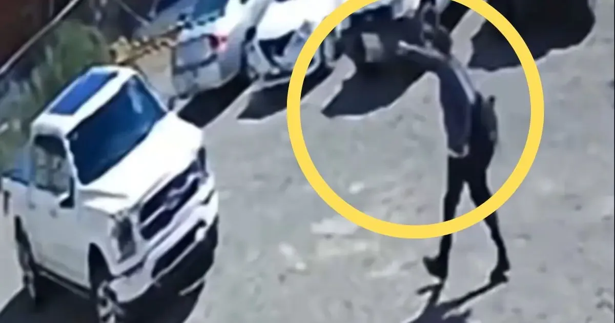 El cirujano dentista Amed de Jesús Preciado fue asesinado en su vehículo por un paciente que exigía atención urgente.