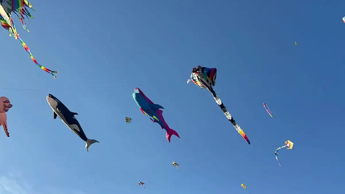 Asistentes de diversas localidades celebran la cultura y tradición del vuelo de papalotes en un evento histórico.