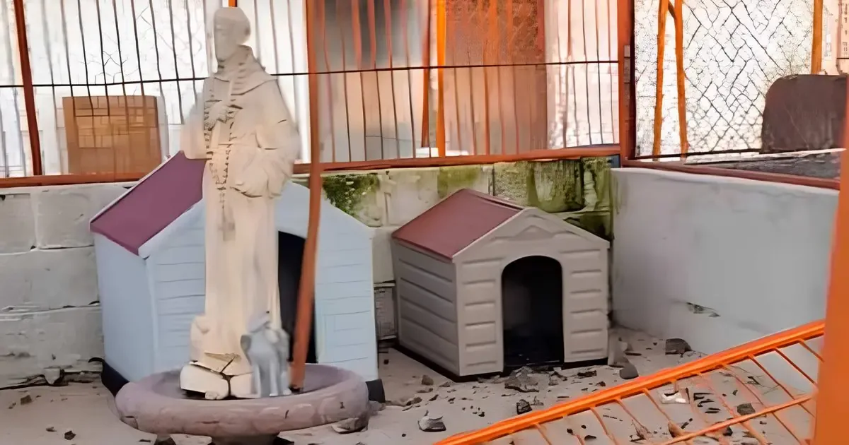 El Refugio Franciscano fue atacado en la madrugada del lunes, pero sus perros sobrevivieron.