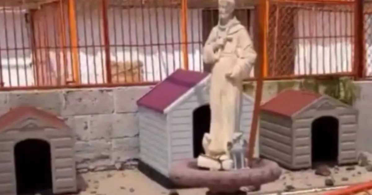 La violencia en Cuajimalpa contra el refugio de animales levanta un llamado a la paz y a la legalidad.