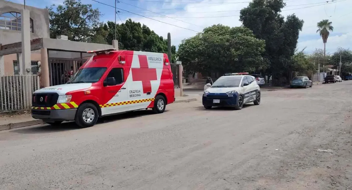 Una mujer de la tercera edad y un hombre resultaron heridos tras un ataque de abejas en la colonia Metalera.