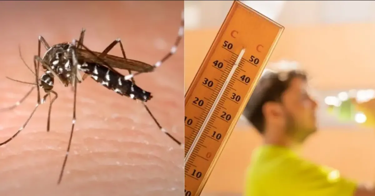 Autoridades de salud advierten sobre los riesgos de enfermedades durante el calor extremo.