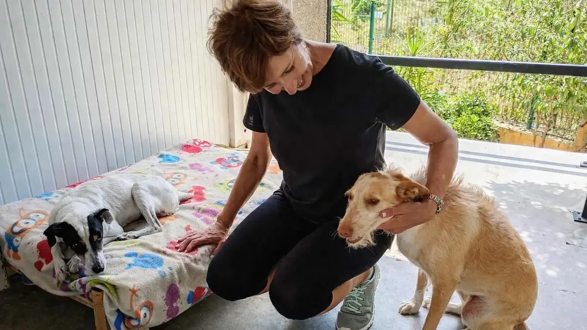 La Protectora de Animales de Málaga enfrenta un repunte de adopciones debido al abandono estacional.