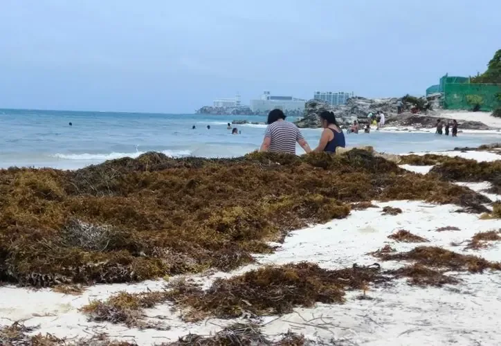 La acumulación de sargazo genera problemas en playas, afectando la imagen turística de la región.