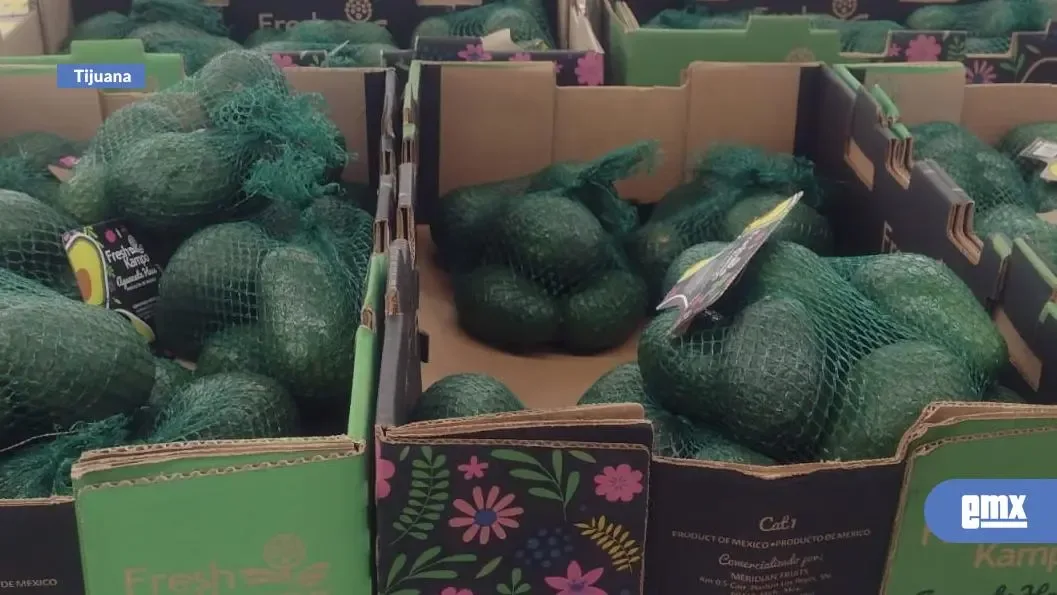 Aumento en la venta de aguacate en Tijuana por el Super Bowl LX.
