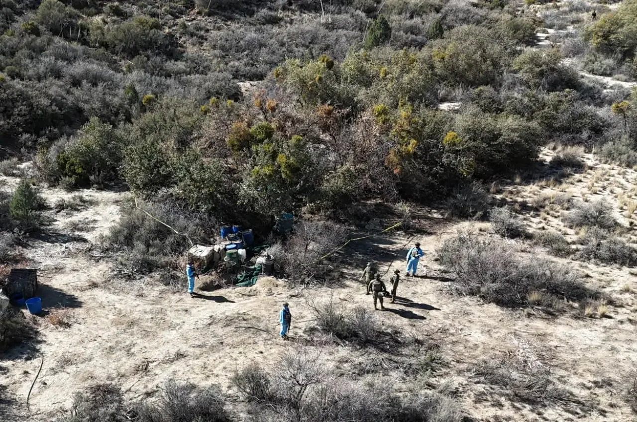 Autoridades de Baja California durante el desmantelamiento de un laboratorio clandestino.
