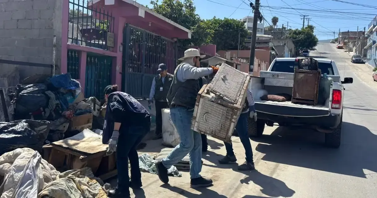 Se realizan jornadas de limpieza para prevenir enfermedades por garrapatas y mosquitos tras recientes muertes.