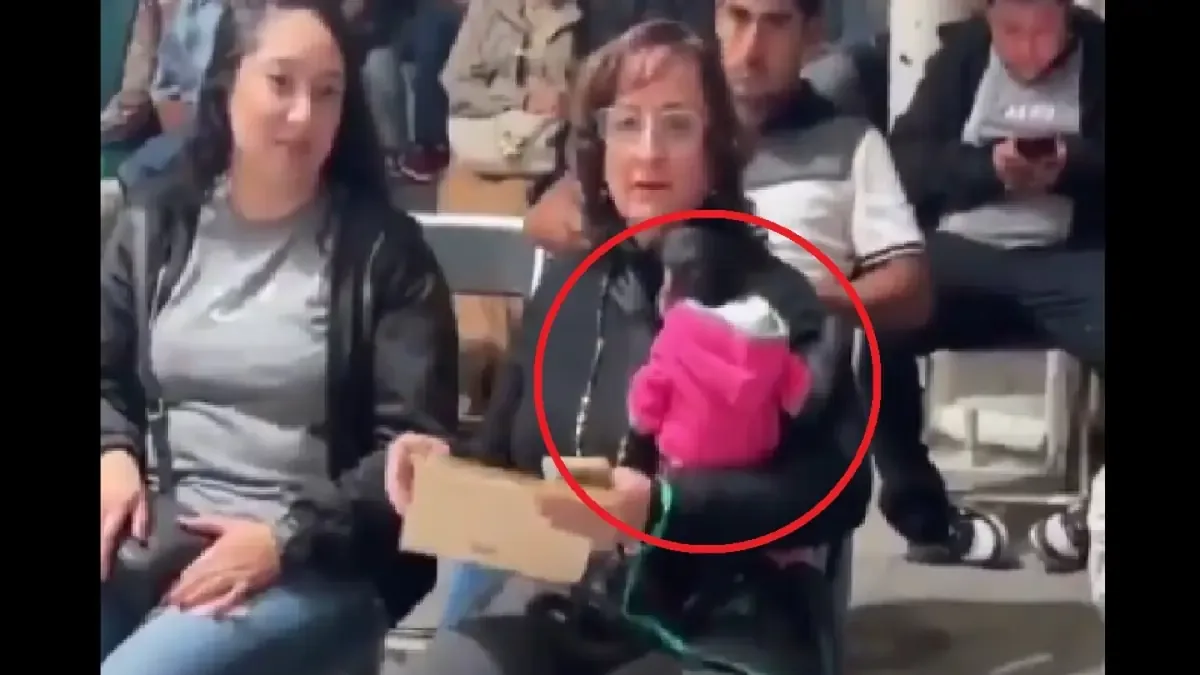 Autoridades son criticadas por su falta de acción en protección de especies.