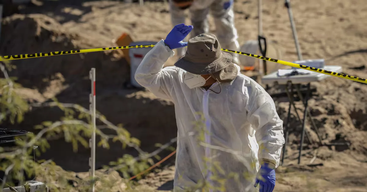 Avances en la identificación de cuerpos en Miguel Alemán, Baja California.