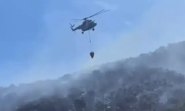 Las brigadas intensifican esfuerzos para extinguir el siniestro en los municipios de Arivechi y Sahuaripa.