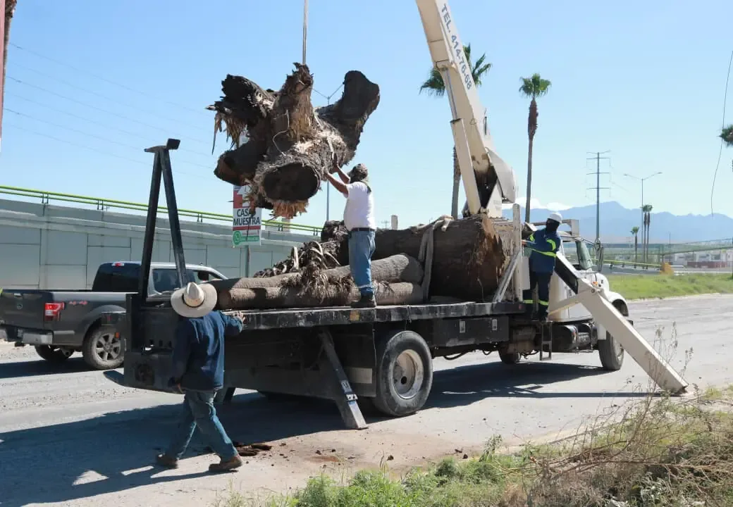 La obra mejorará la seguridad de estudiantes y habitantes de la colonia La Estrella.