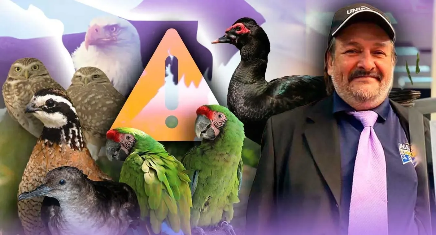 Aves en riesgo de extinción en Sonora debido a la pérdida de hábitat.