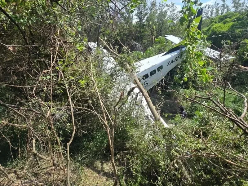 La caída de la aeronave moviliza a múltiples cuerpos de emergencia en la carretera Miguel Alemán.