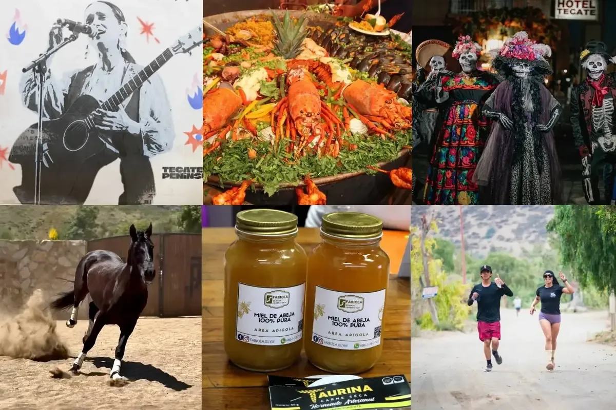 Diversas actividades gastronómicas y deportivas se llevarán a cabo en todo Baja California este fin de semana.