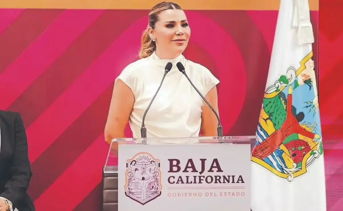 La decisión busca garantizar transparencia y fiabilidad en los procesos de contratación estatal.