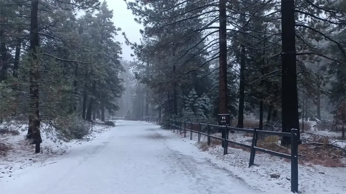 Baja California se prepara para frío intenso, chubascos y posibles nevadas hoy 12 de febrero.