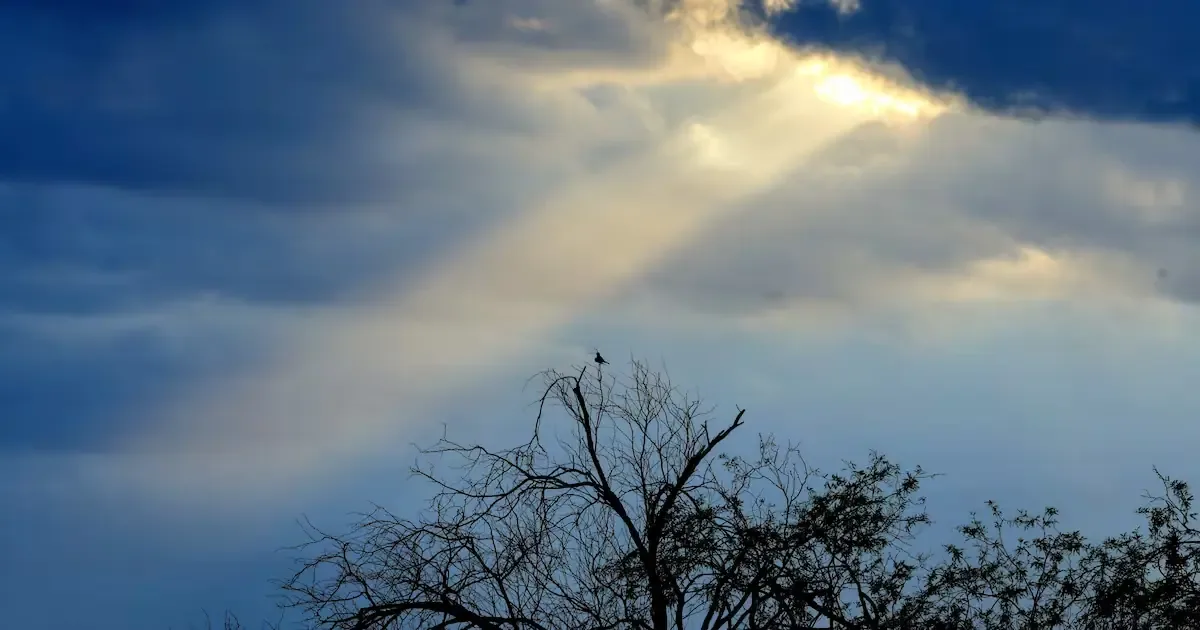 La baja presión generará lluvias en varias localidades de Sonora, incluyendo Puerto Peñasco y Nogales, durante las próximas horas.