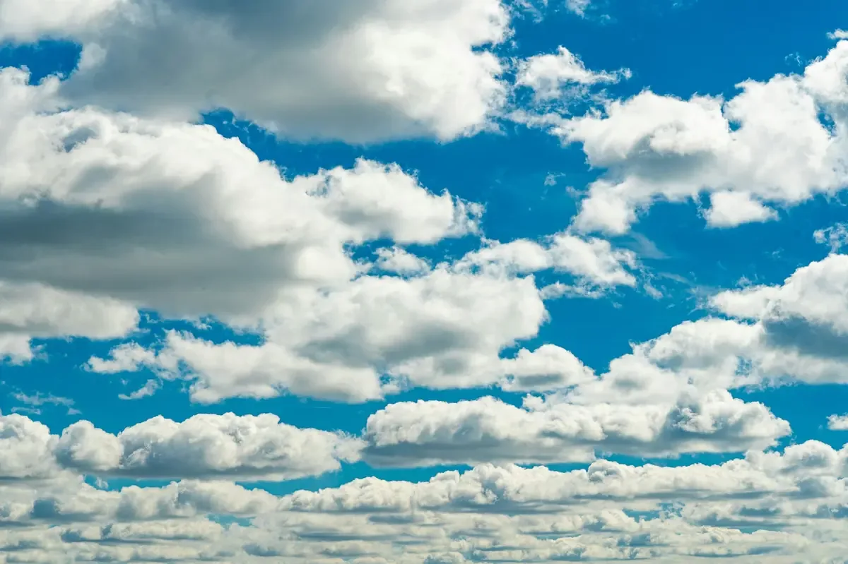 El Servicio Meteorológico Nacional alerta sobre un martes frío en La Plata con máximas de 13°C y vientos del sur.