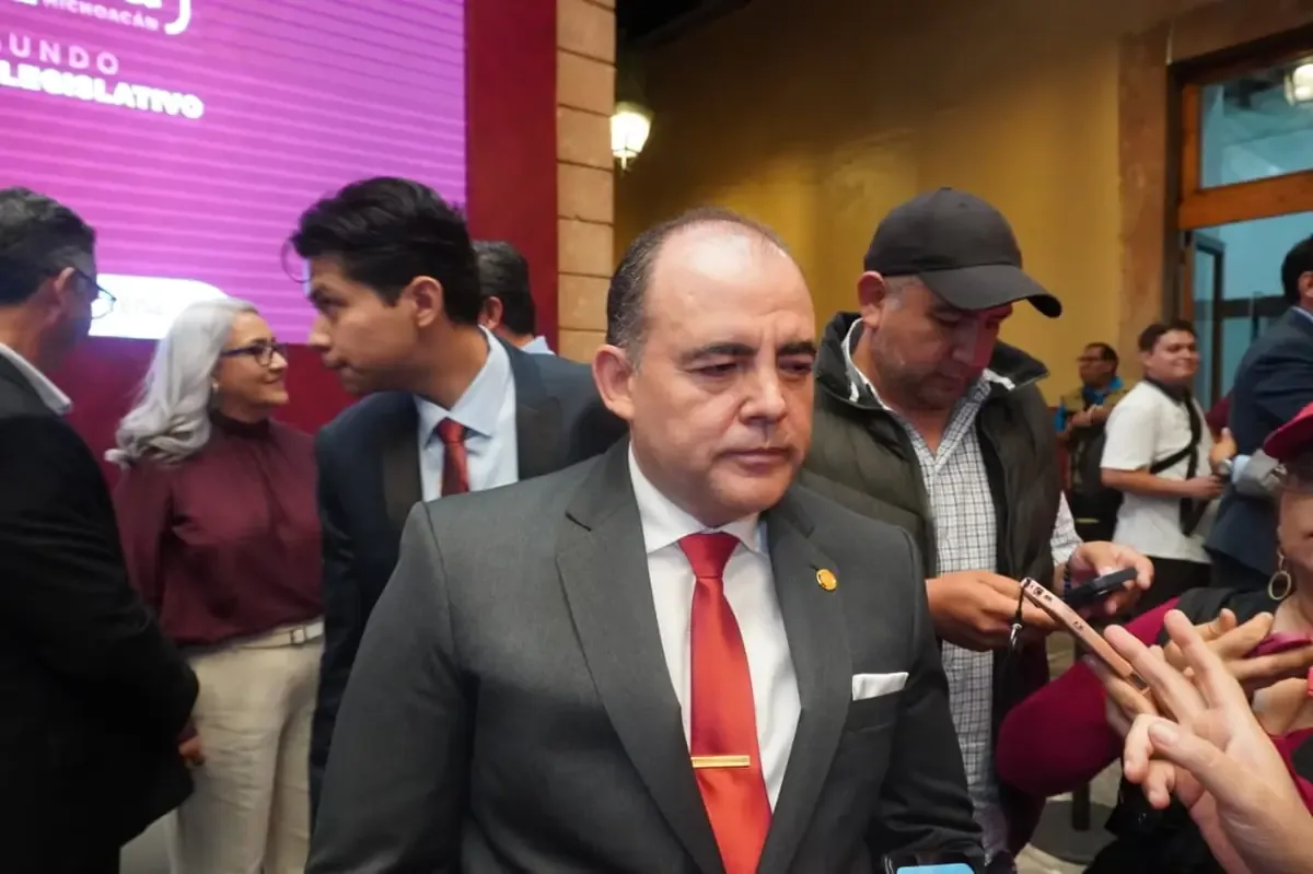 La propuesta de Gaona incluye restricciones para proteger la imagen de la mujer y evitar la apología del delito.