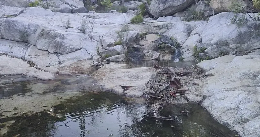 Basura acumulada en la Poza Pepe, un cuerpo de agua en peligro en Baja California Sur.