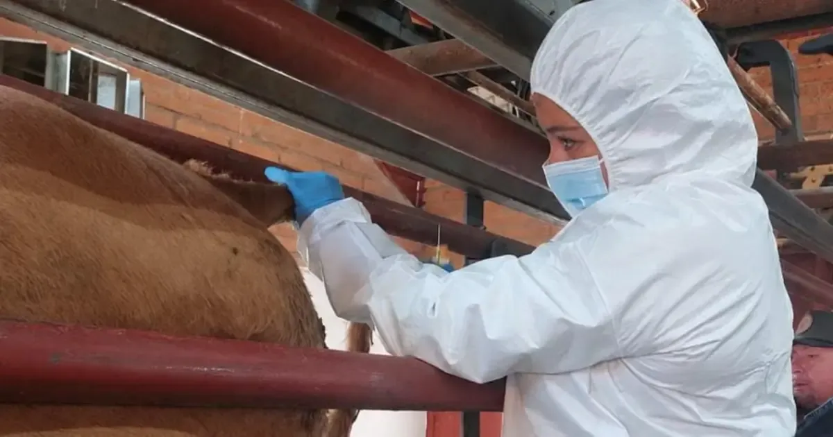 El diagnóstico permitió desactivar alertas sanitarias y salvaguardar la sanidad ganadera en México.
