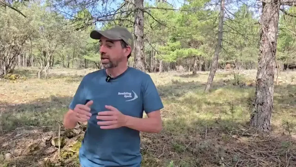 Esta reintroducción en Guadalajara potencia la conservación del entorno y el impulso turístico del municipio.
