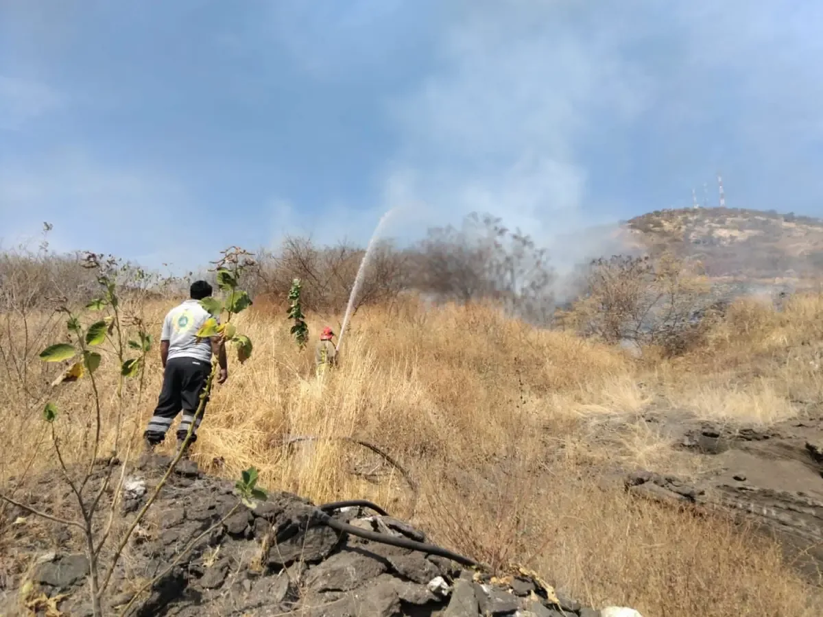 Bomberos controlan el fuego que consumió el 60% de la maleza, sin heridos.