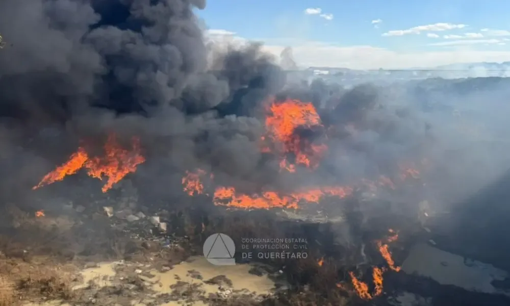 Bomberos controlan incendio forestal cerca de la carretera estatal 200 en Colón.