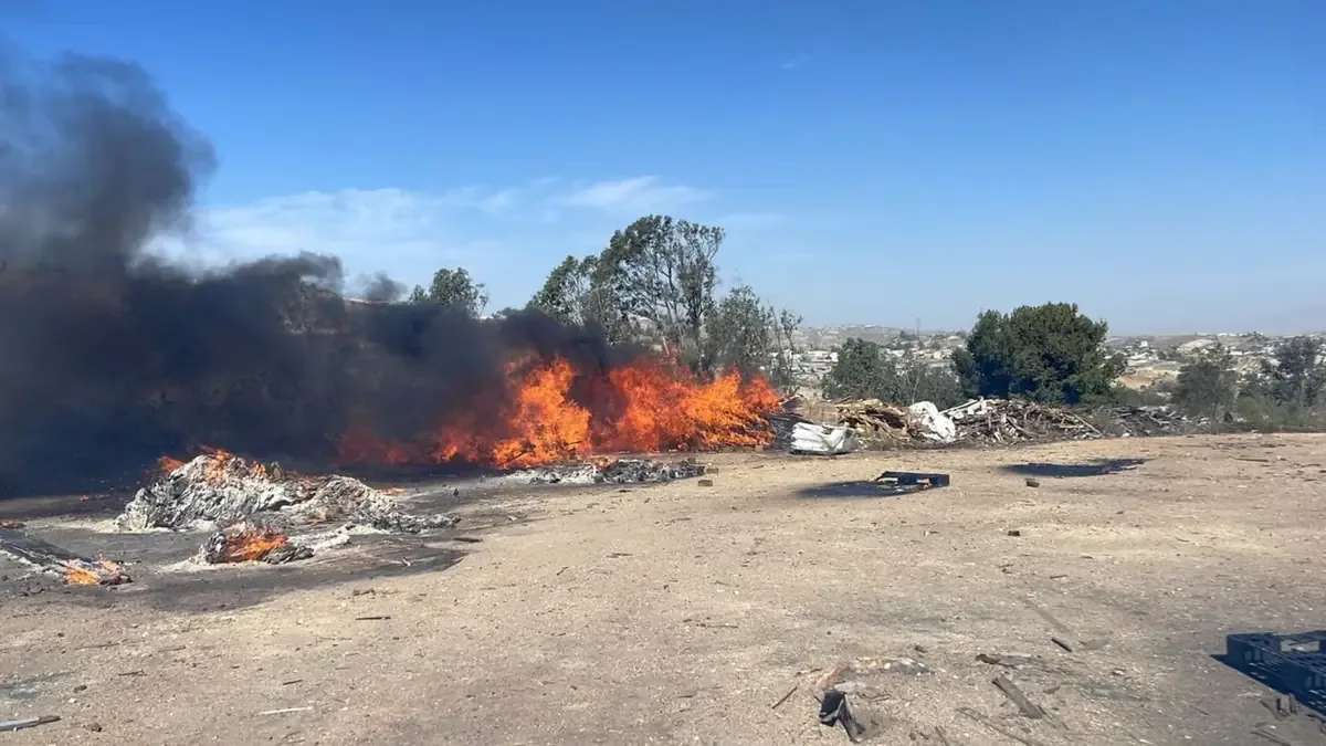 La rápida intervención de los bomberos evitó lesiones en los incidentes que afectaron varias colonias.