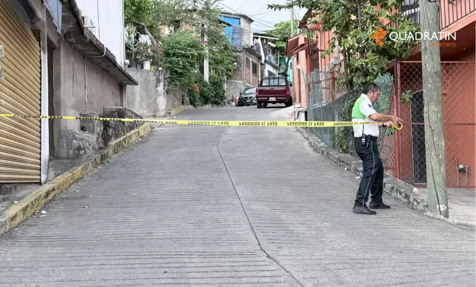 Bomberos intervienen para manejar enjambres de abejas en Zihuatanejo.