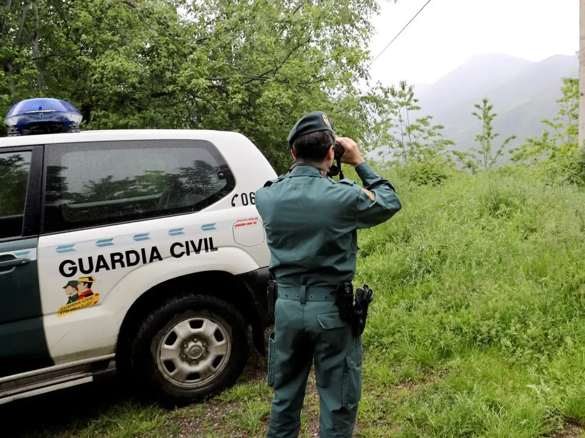 La búsqueda de un supuesto león en Toledo genera alerta entre los pobladores.