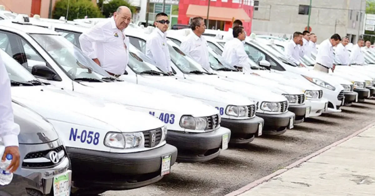 La decisión del Cabildo deja en espera el análisis de nuevas concesiones, generando inquietud en el sector del transporte.