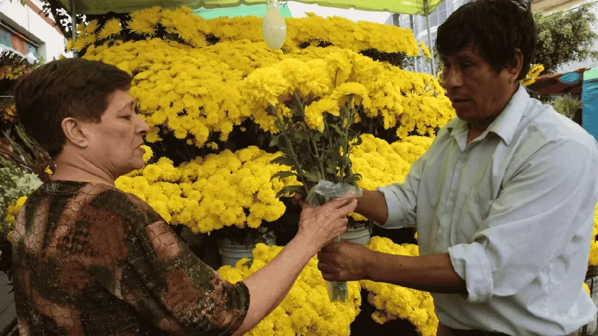 Cada 21 de marzo, la tradición del regalo de flores amarillas se populariza en Lima, impulsada por la cultura digital.