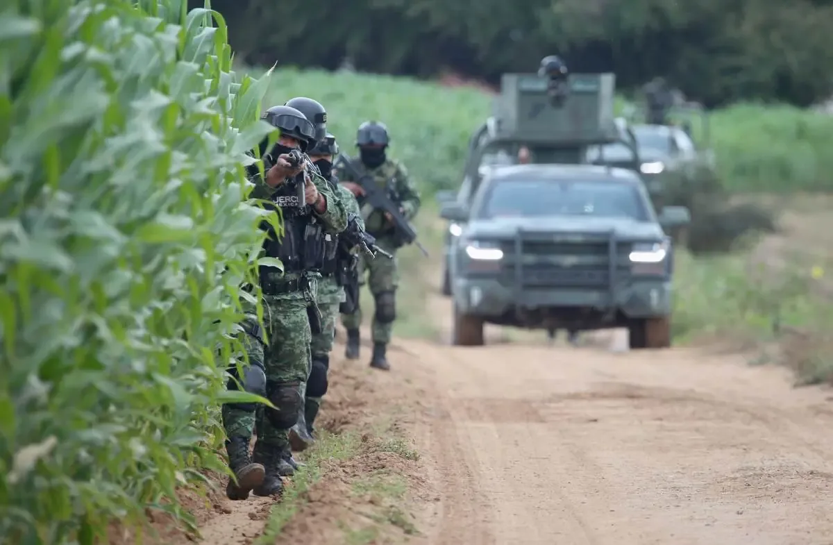 Las cifras revelan una notable disminución en ataques, destacando avances en la seguridad nacional.