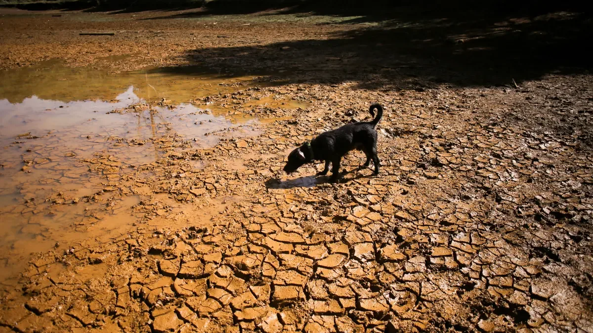 El Banco de Desarrollo de América Latina destina millonario apoyo ante los posibles estragos de El Niño en la región.