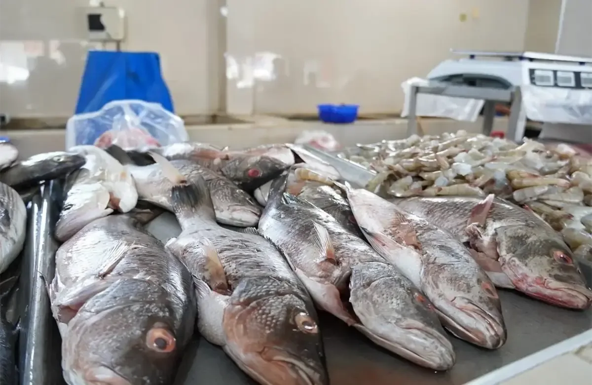 El mal tiempo en costas del sur de Sonora afecta la oferta de productos del mar y los precios permanecen estables.