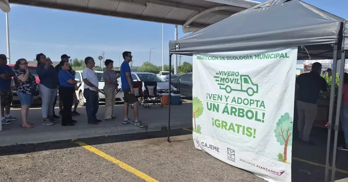 La entrega de árboles busca impulsar la vegetación urbana y la participación ciudadana en su cuidado.