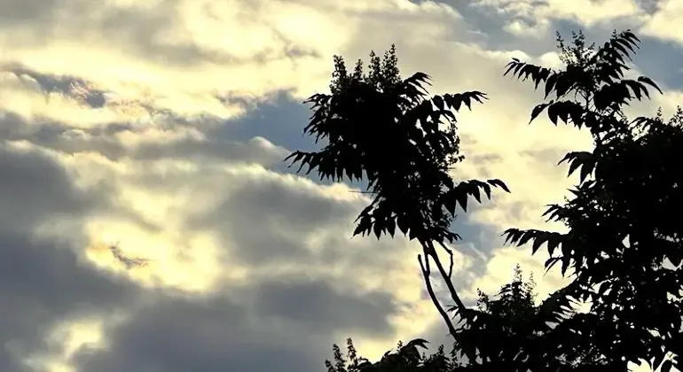 Este viernes presenta un clima variado en la región con altas temperaturas y posibilidades de lluvia.