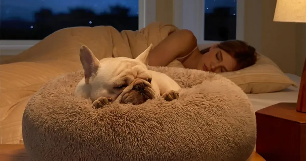 La cama brinda confort y calma a mascotas inquietas, según dueños satisfechos.