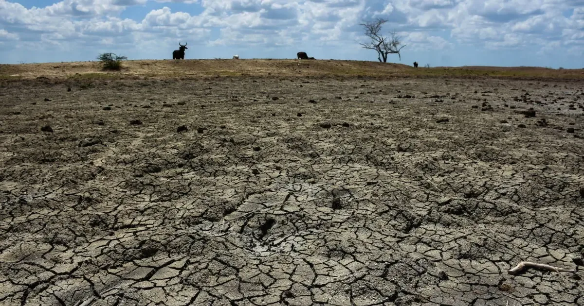 Los eventos climáticos y la incertidumbre política afectan la producción y la cadena de suministro en múltiples sectores.