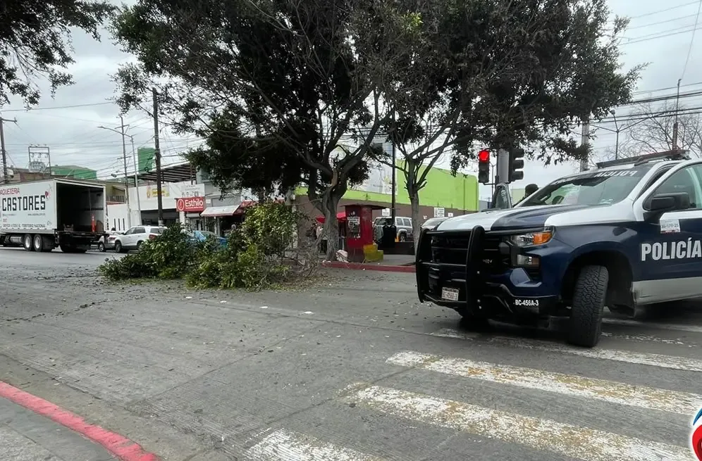 Un accidente de tráfico sin lesionados ocasiona desvíos vehiculares en la ciudad.