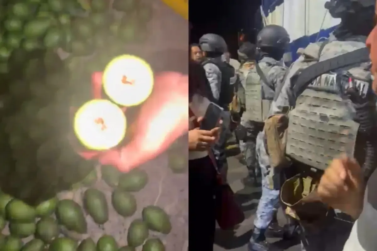 Productores de aguacate protestan para obtener un aumento en los precios de comercialización.