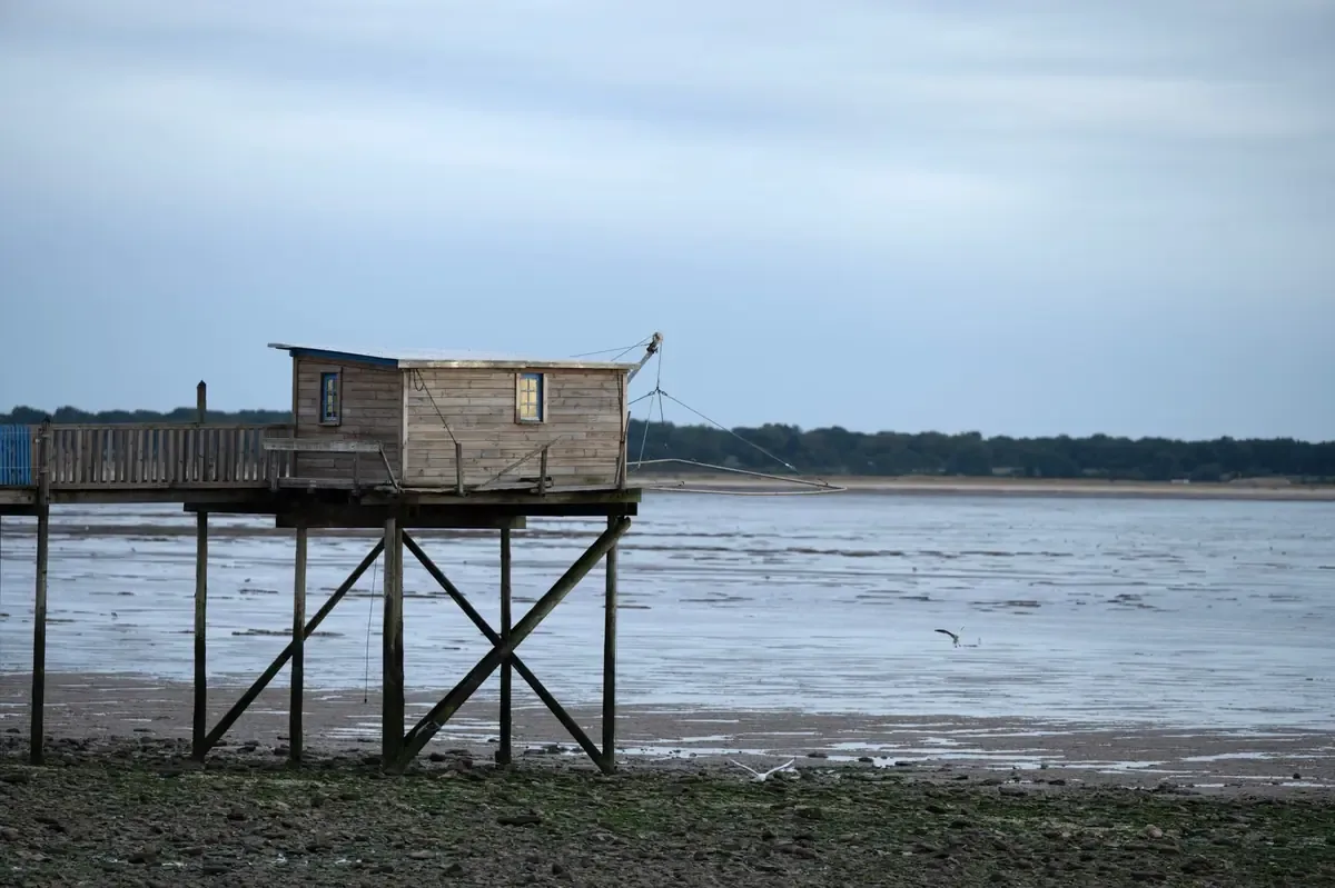 La presencia del cangrejo azul transforma la vida de pescadoras en Scardovari, Italia.
