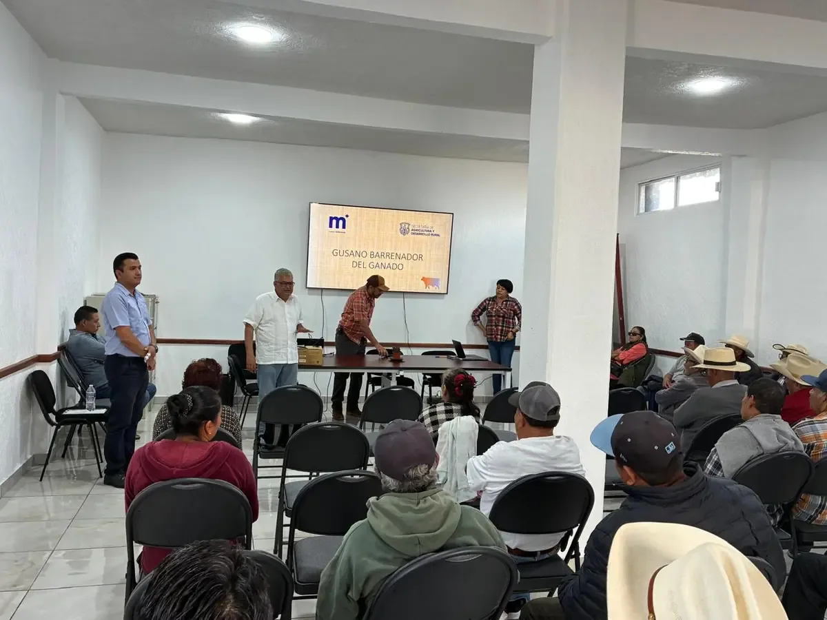 La Secretaría de Agricultura capacita a productores para prevenir plagas en el ganado.