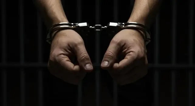 La detención se realizó mediante la estrategia de coordinación interinstitucional entre Querétaro y Michoacán.