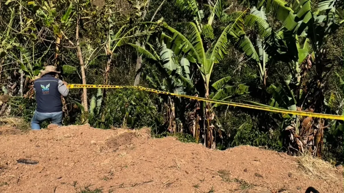 La suspensión busca evitar daños ambientales y restaurar la flora local.