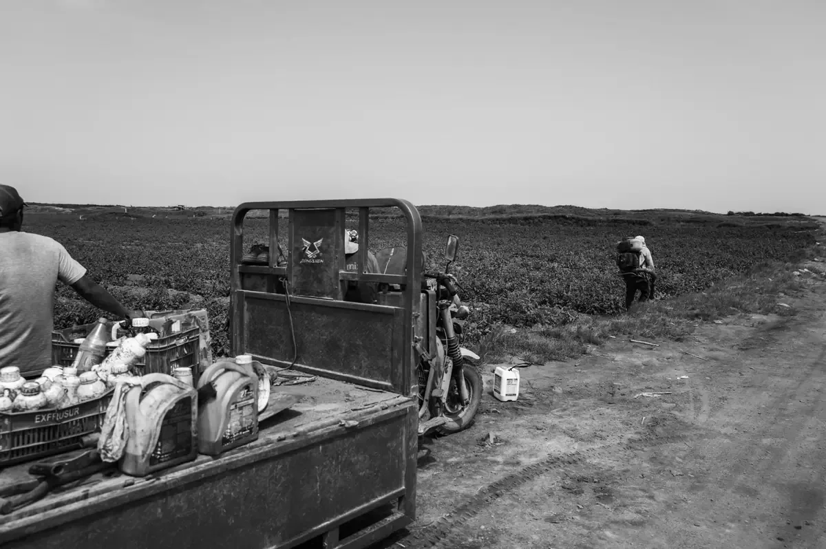 Migrantes en Tapachula se agrupan para continuar su camino a Estados Unidos tras la llegada de nuevos grupos.