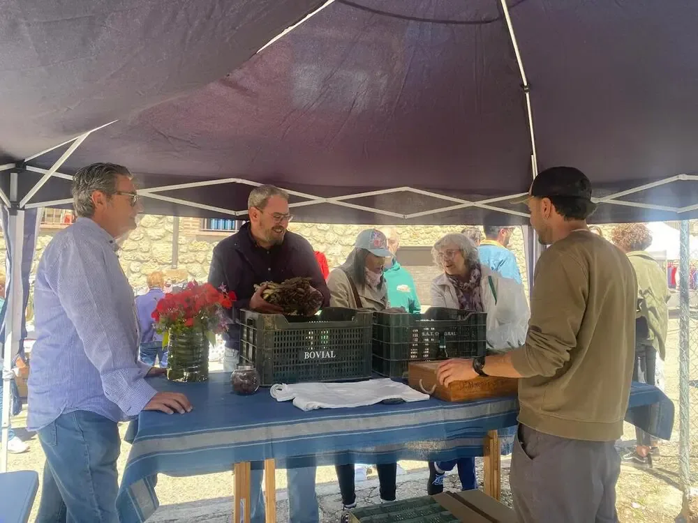 La Ley de Medidas contra la Despoblación impulsará el crecimiento en áreas rurales.